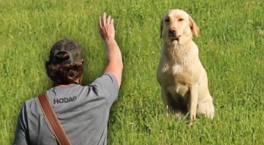 Cody...Go Back *Remastered*
