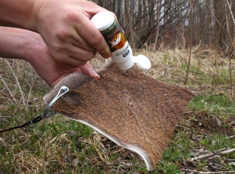 deer tracking dog training kit