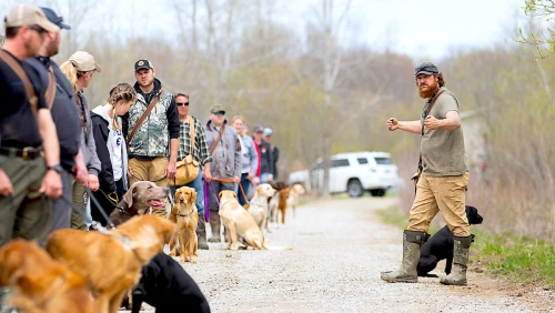 dogbone-training-library-hunting-dog-training