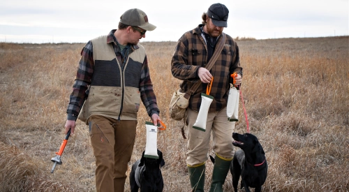 jeremy_moore_training_a_gundog