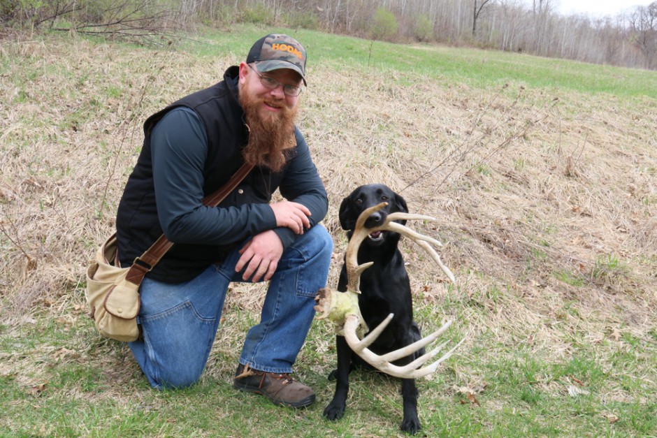 Shed cheap dog trainer