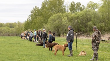 Fixing the Handler Not the Dog