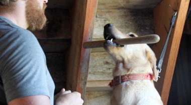 Intro to Hold Conditioning 