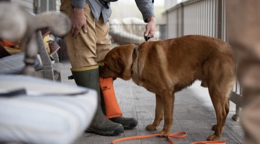 Shaping the Retrieve
