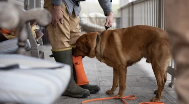 Shaping the Retrieve