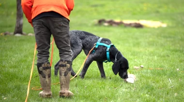 Intro To Deer Tracking & Laying Lines