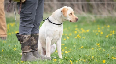 Delay: Building Memory & Trust on Retrieves