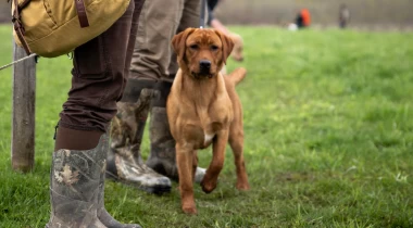 Remember How You Feel Right Now