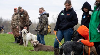 Simplify for Success