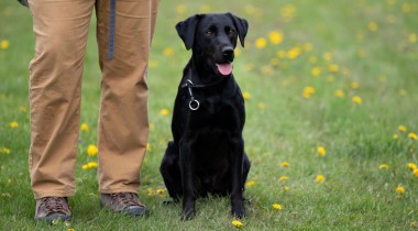 What Does Advanced Heel Work Look Like?