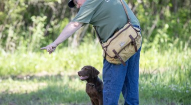Advanced Retrieving Drills