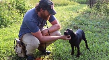 Learning the Basics: Puppy Retrieves, Place Training, & House Breaking
