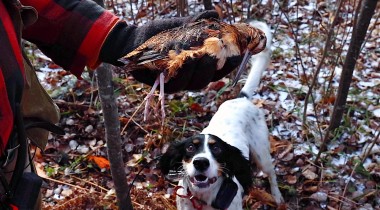 Hunting Grouse & Woodcock: M&aacute;quina's First Season