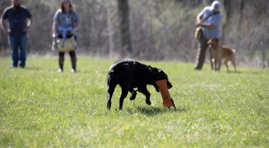 Memory Retrieves and Working Through Cover