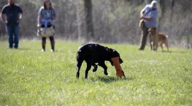 Memory Retrieves and Working Through Cover