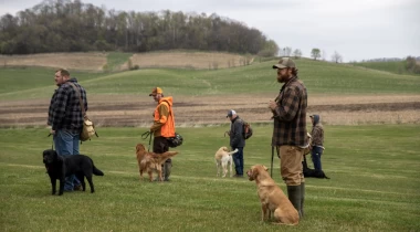 Becoming Better Trainers