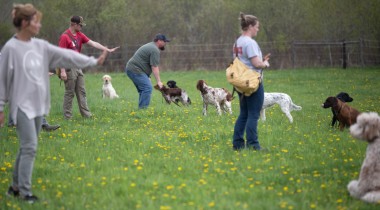 Basics of "Remote Sit"