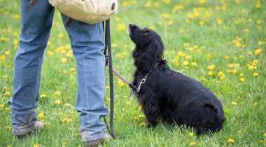 Remote Sit w/ Lucy & Theresa