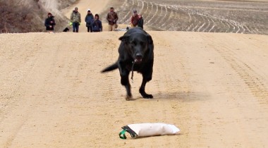 Retrieving w/ Distractions and Extending Distance