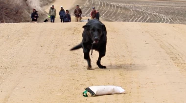 Retrieving w/ Distractions and Extending Distance