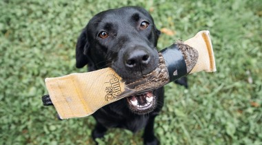 Last Steps of Hold Conditioning 