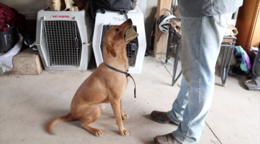 Final Steps of Hold Conditioning