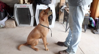 Final Steps of Hold Conditioning