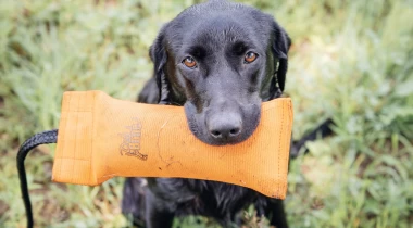 Transitioning Outside