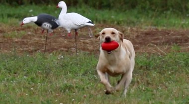 Getting Closer to the Hunt