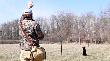 Teaching to Backcast