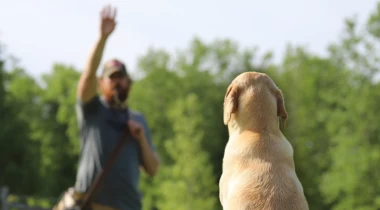 Casting Into Cover and Over Barriers