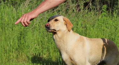 Balancing Casting & Strong Lining