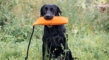 Bella After Hold Conditioning 