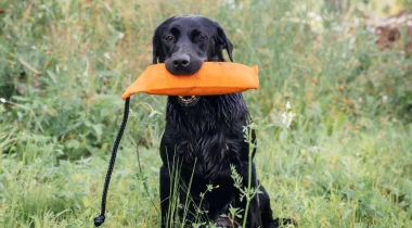 Bella After Hold Conditioning 