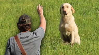 Teaching the Back Cast