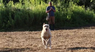 Putting Skills into Play: Becoming Less Formal