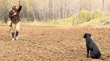 Continuing to Backcast 