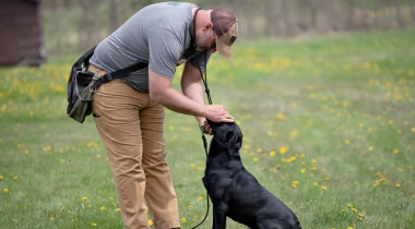 The Why & How of Heel Training