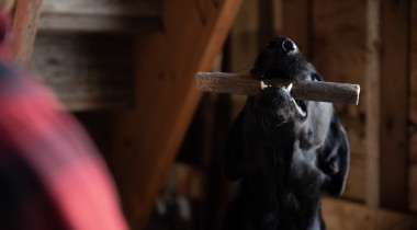 Intro to Hold Conditioning