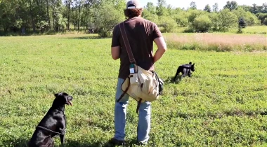 Piecing it All Together