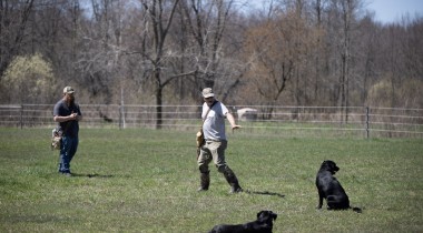 Remote Sit and Steadiness