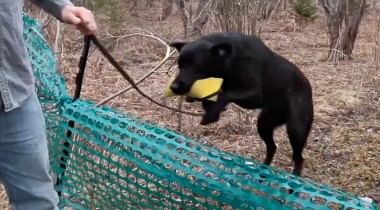 Retrieving Over Obstacles