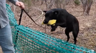 Retrieving Over Obstacles