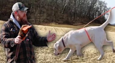Tracking Drills for Both Deer & Ducks