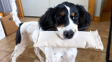 Figuring Out the Retrieve