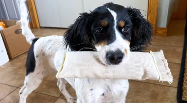 Figuring Out the Retrieve