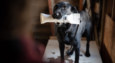 Polishing the Delivery