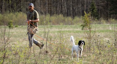 Stopping at a Distance