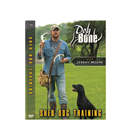 shed dog training