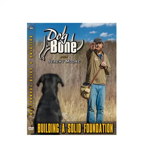 Building a Solid Foundation - Downloadable